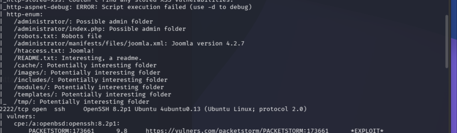 nmap vuln scan final output